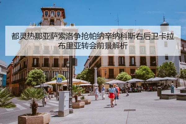 都灵热那亚萨索洛争抢帕纳辛纳科斯右后卫卡拉布里亚转会前景解析（leyusports）